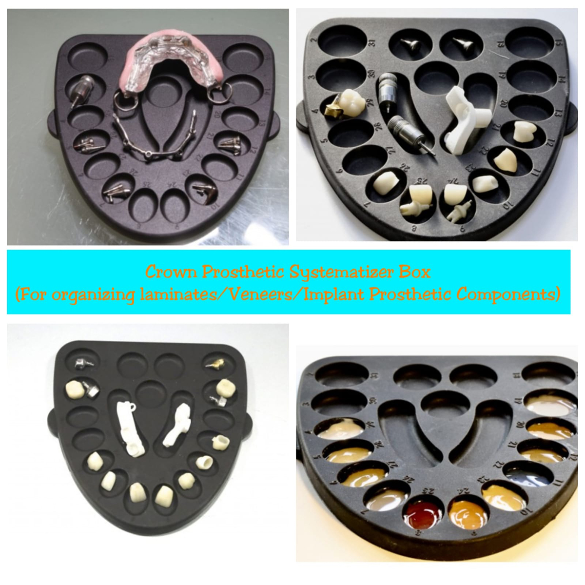 Julldent 172 Crown Prosthetic Systemizer Box