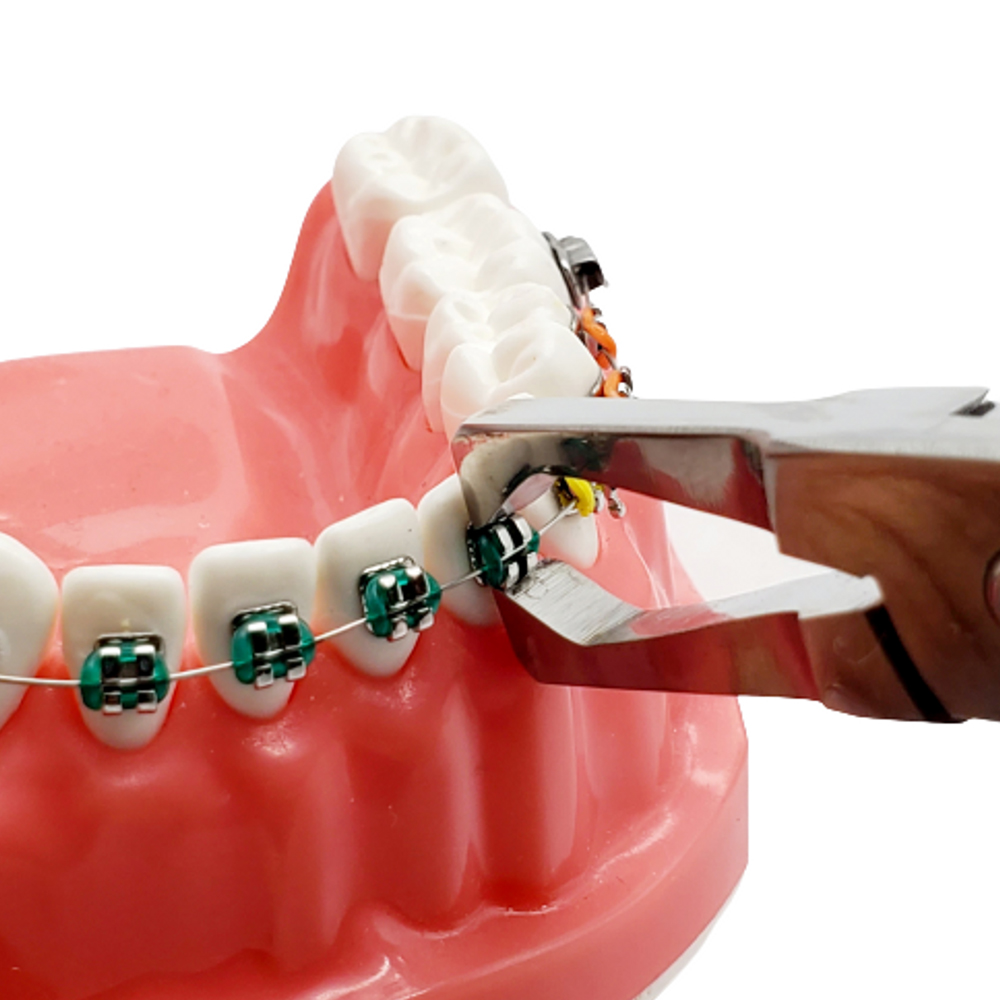 Koden Bracket Removing Plier with TC (Euphoria League)