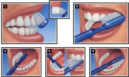 Stim Silky Brush (Pack of 12) - 6