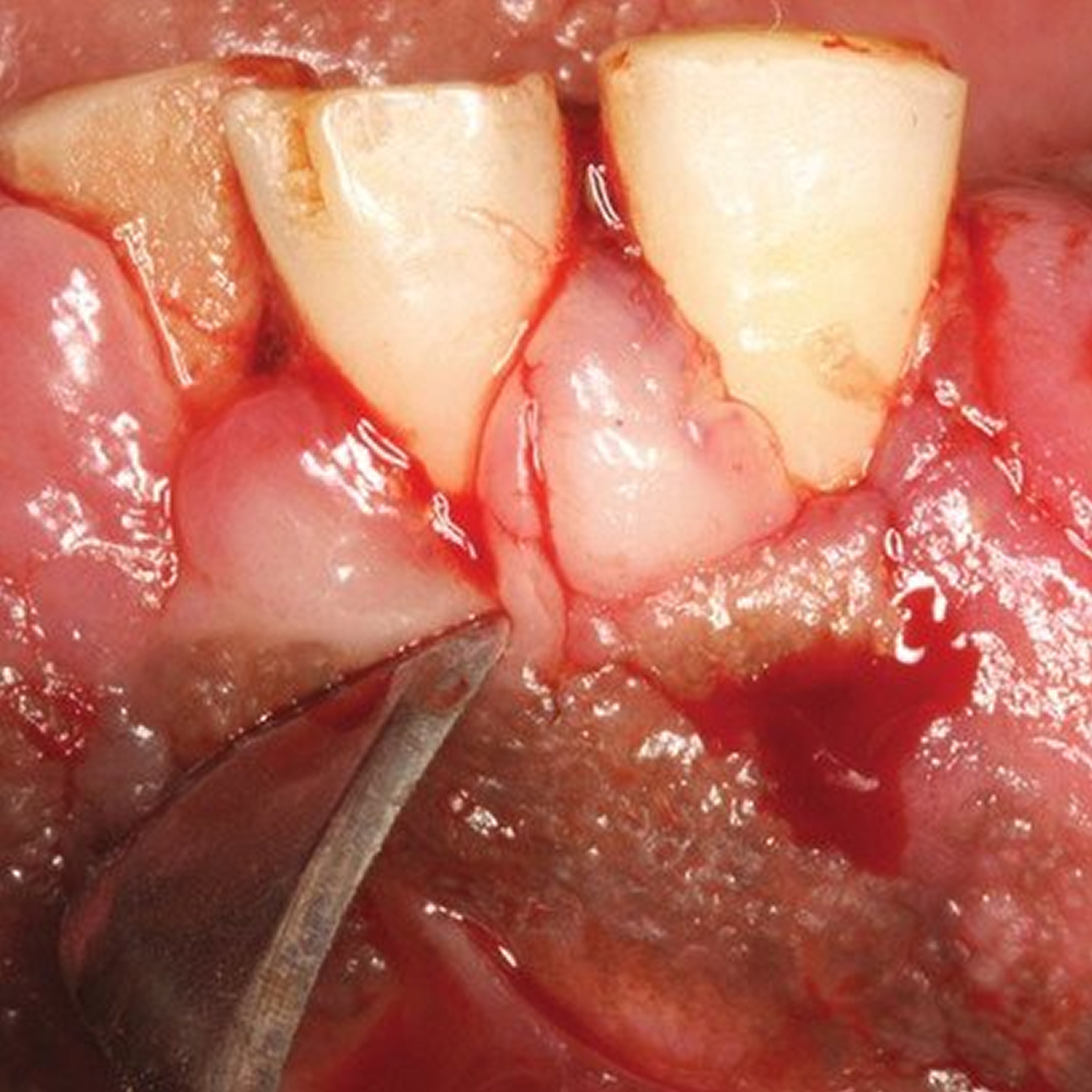 GDC Buck Knife #6 (Kb3/4)