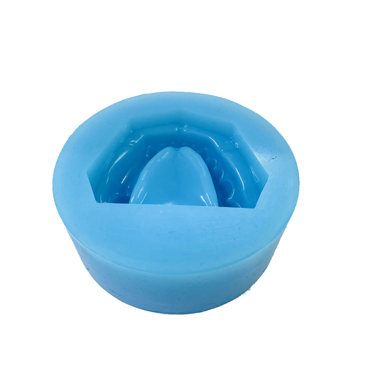 iDENTical Partially Edentulous Silicone Cast Moulds