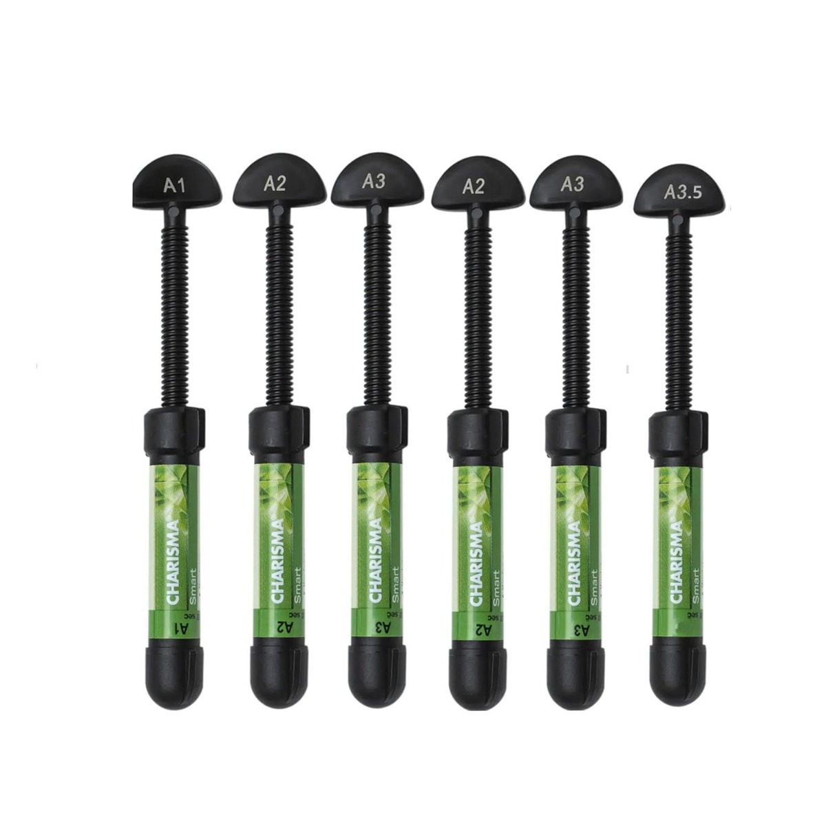 Kulzer Charisma Smart Composite 6 Syringe Kit