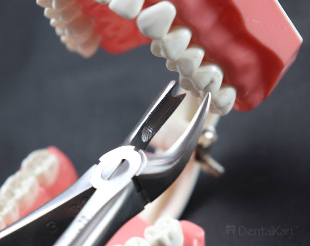 Waldent Tooth Extraction Cowhorn Forceps Upper Molars Left, No.90 (1/116)