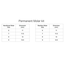 Pedo Crown Permanent 1st Molar Kits - 3
