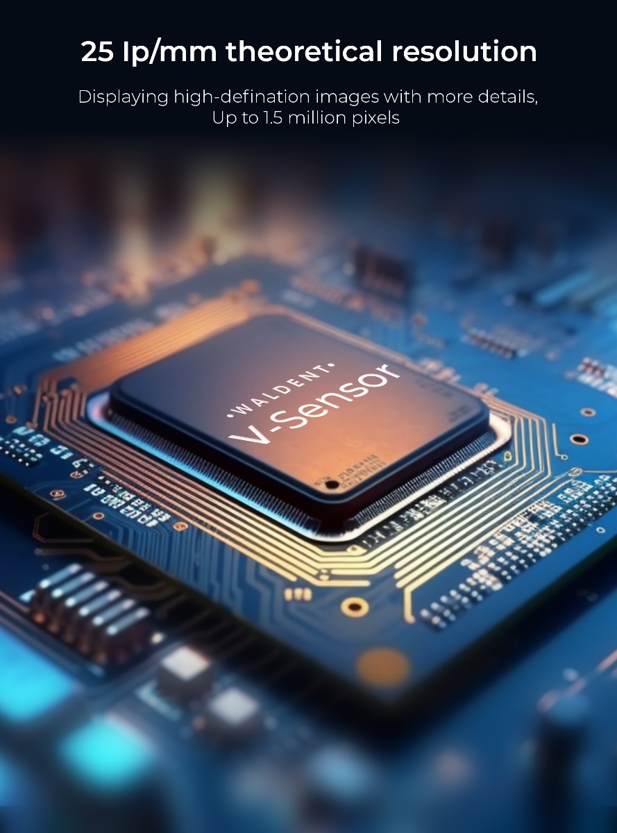 Waldent Carpo RVG V-Sensor Size - 2 