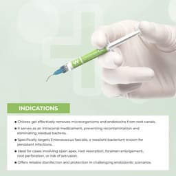 Waldent Chlorex 2% Chlorhexidine Gel - 7