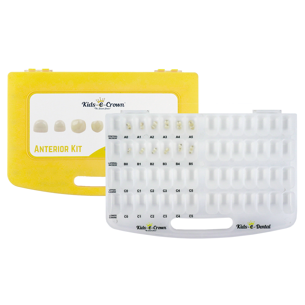 Kids-e-Crown Central & Lateral Incisor Master Kit (Kit of 24 Crowns)