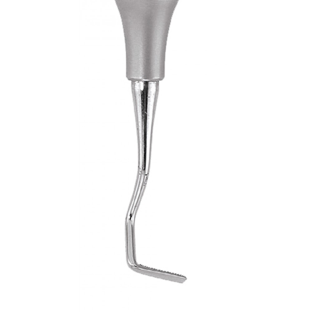 GDC Ochsenbein Chisel - 3 # 6 (CO3)