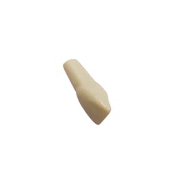 Columbia Dentoform Typodont Ivorine Teeth (T-560 #9)