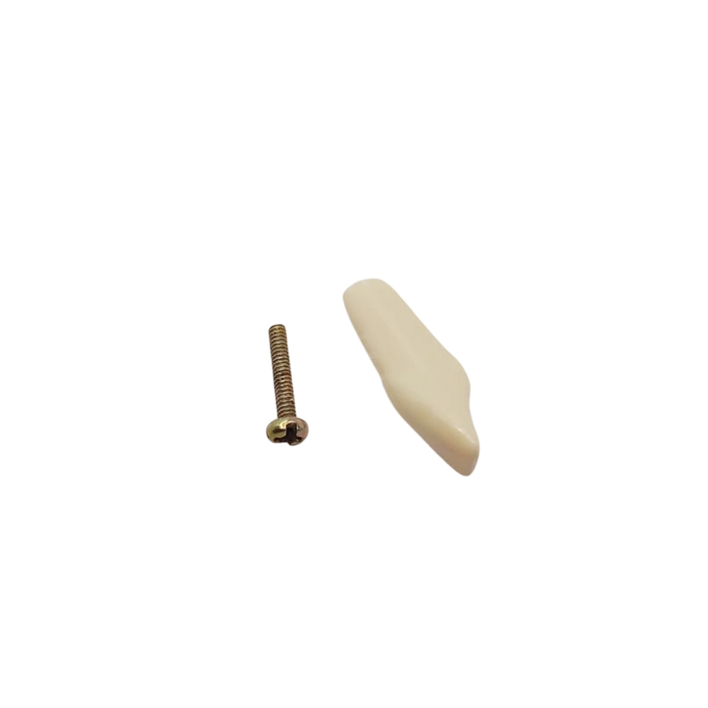 Columbia Dentoform Typodont Ivorine Teeth (T-560 #26)  