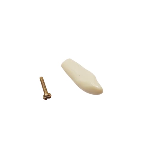 Columbia Dentoform Typodont Ivorine Teeth (T-860 #22)