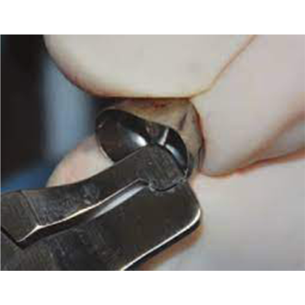 GDC Band/Crown Crimping Plier (3000/225) 