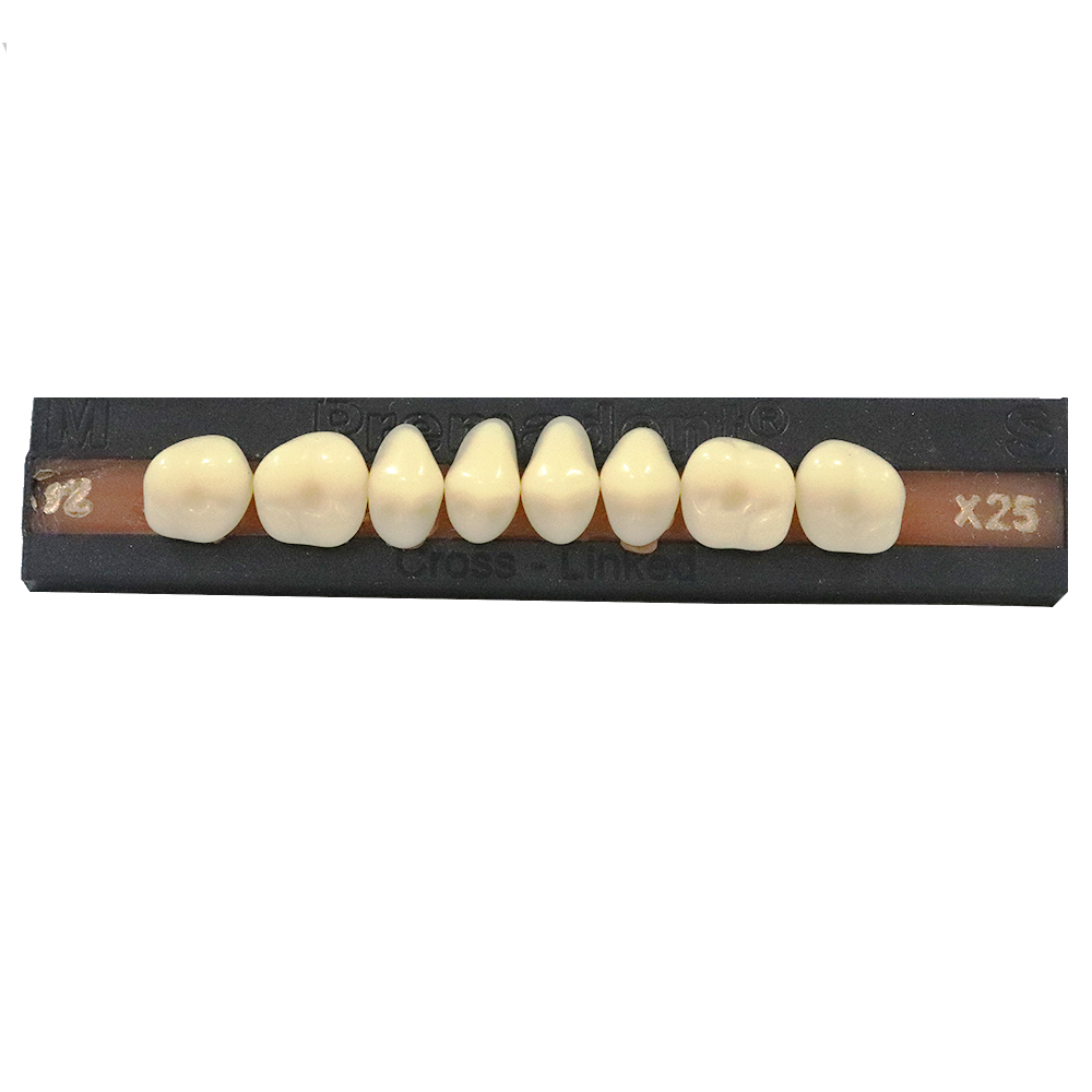 Premadent Teeth Set Cross Linked Acrylic Teeth