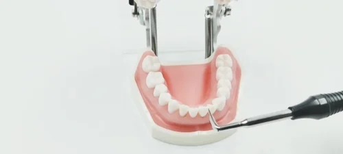 Julldent Crown Remover ( Christensen Design )