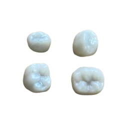Pedo Crown Primary Molar Mini Kits - 1