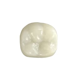 Pedo Crown Primary Molar Kits - 2