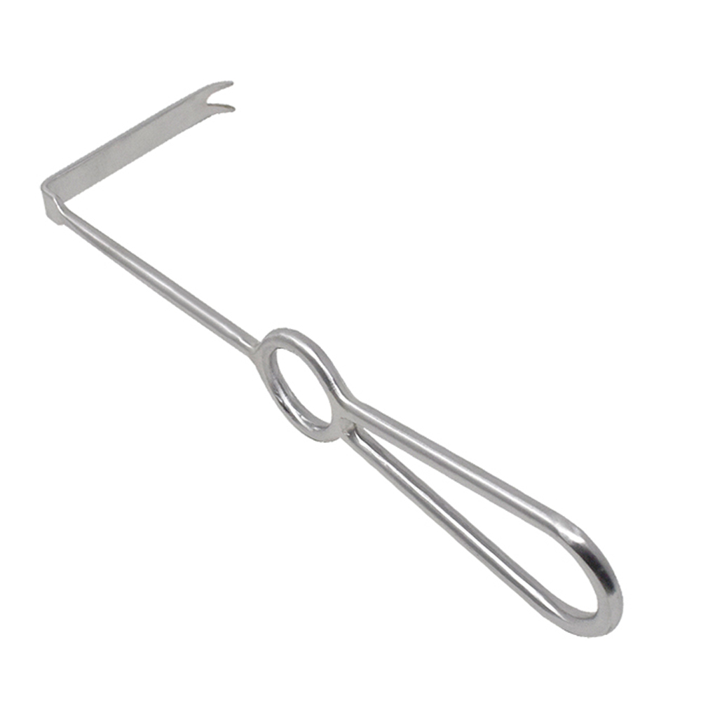 Oracraft Ramus Retractor (CRR)