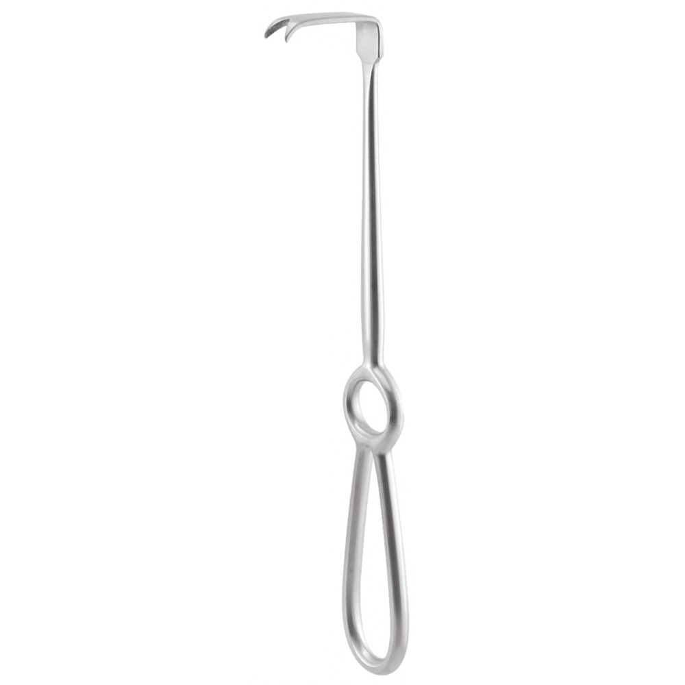 Oracraft Ramus Retractor (CRR)