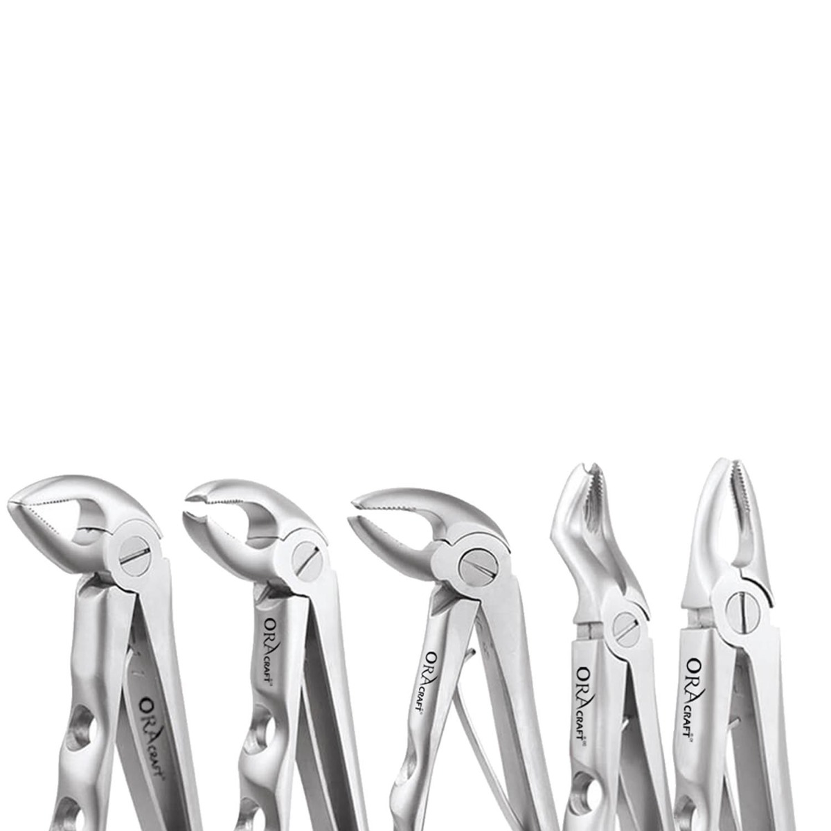 Oracraft Pedodontic Extraction Forceps - Premium