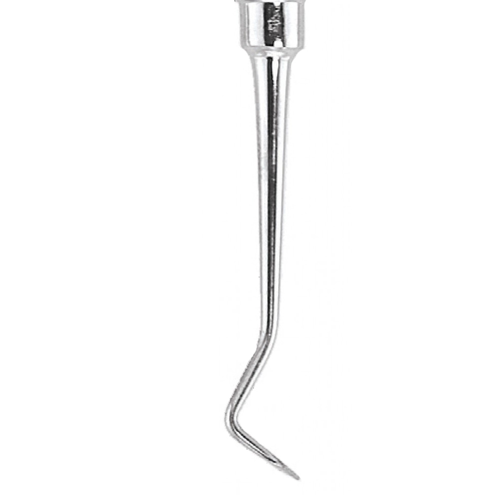 GDC Carver Diamond Shape - 1 - Small (Cvfr2/3h)