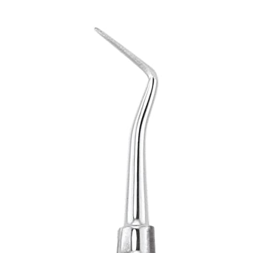 GDC Carver Ward - 4 (Cvwr1s)