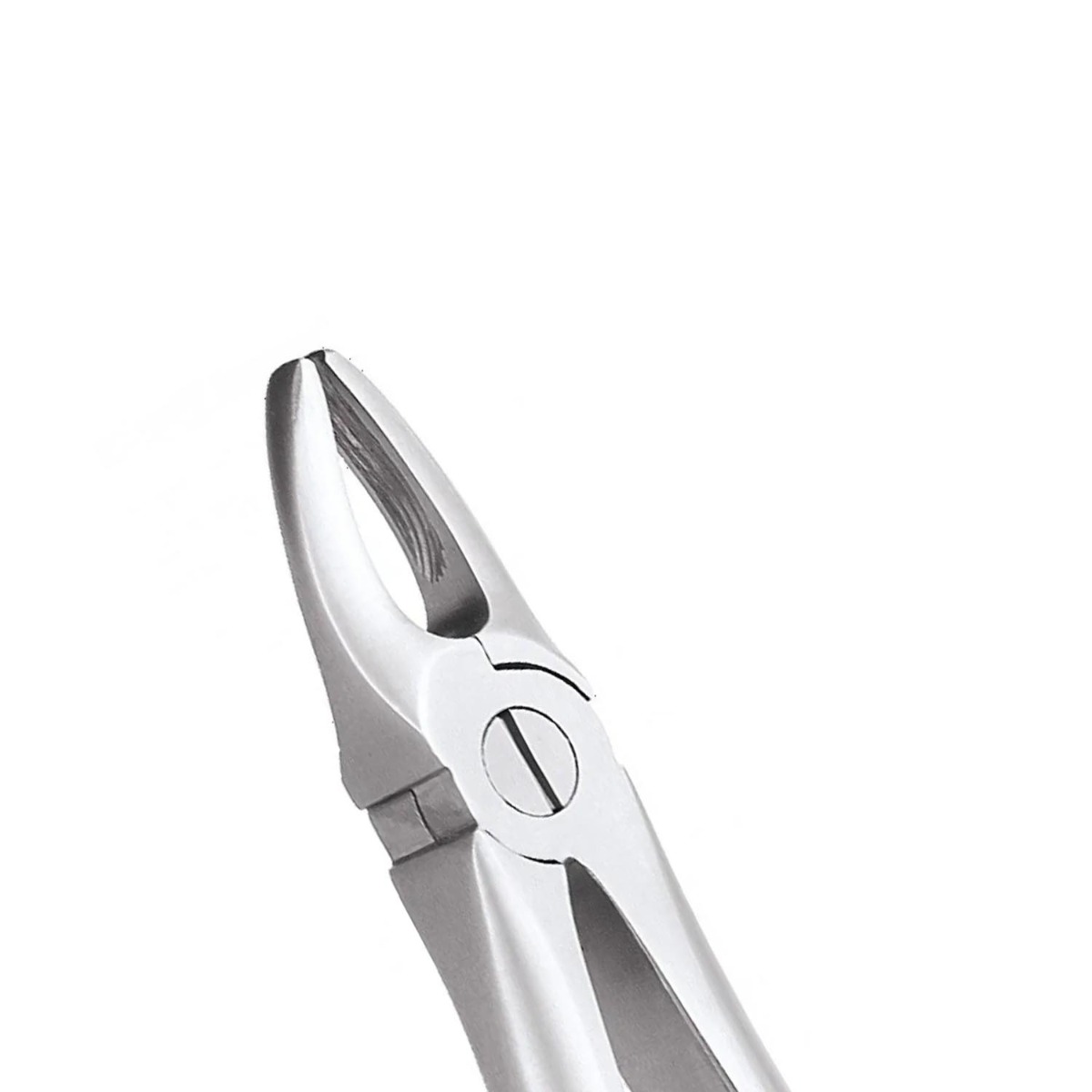 Oracraft Upper Anterior Extraction Forceps - Premium (FX1P)