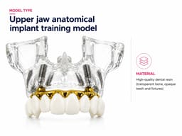 Julldent Upper Jaw Implant Model (JULL-DENT 205) - 3