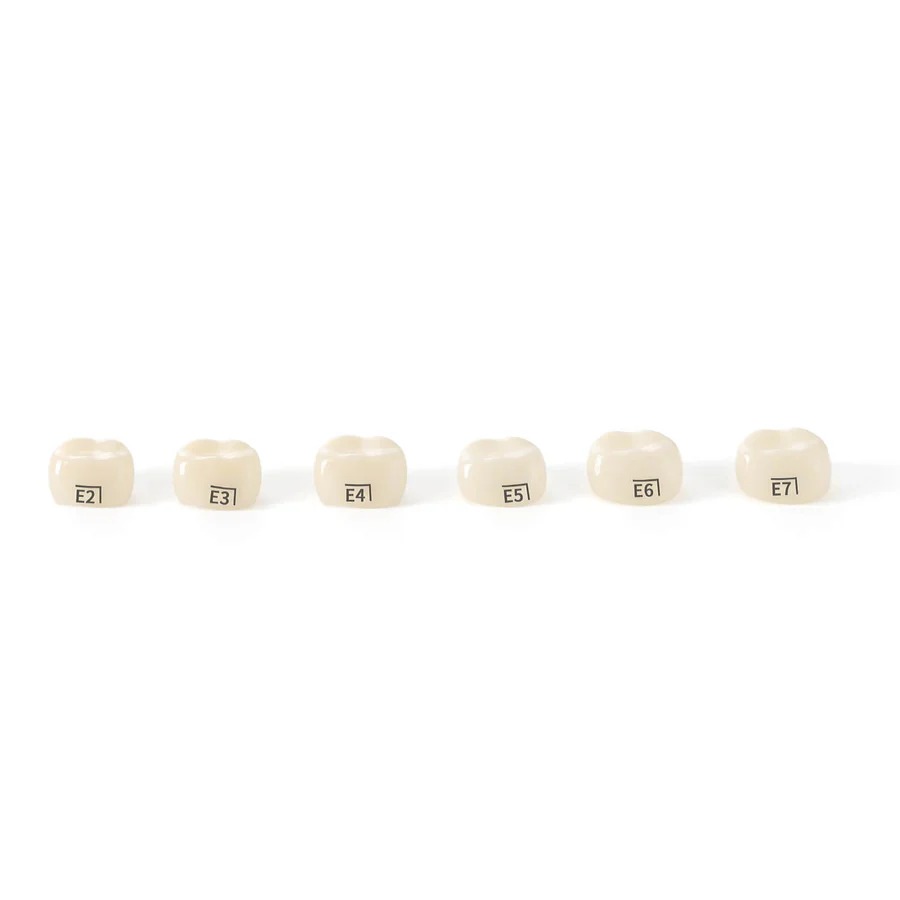 Pedo Crown Primary 2nd Lower Molar Refills