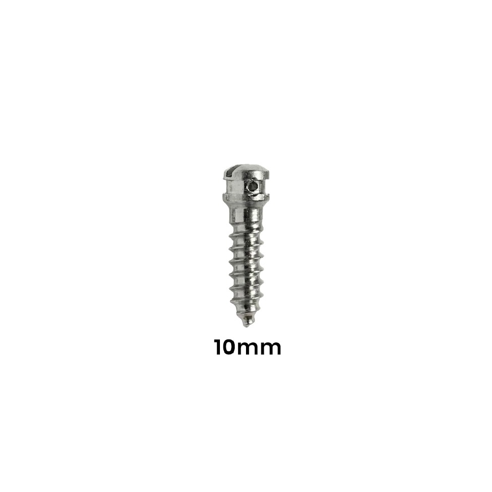SK Surgicals SS IMF Screws - 2.5mm x 10mm (25010SI)