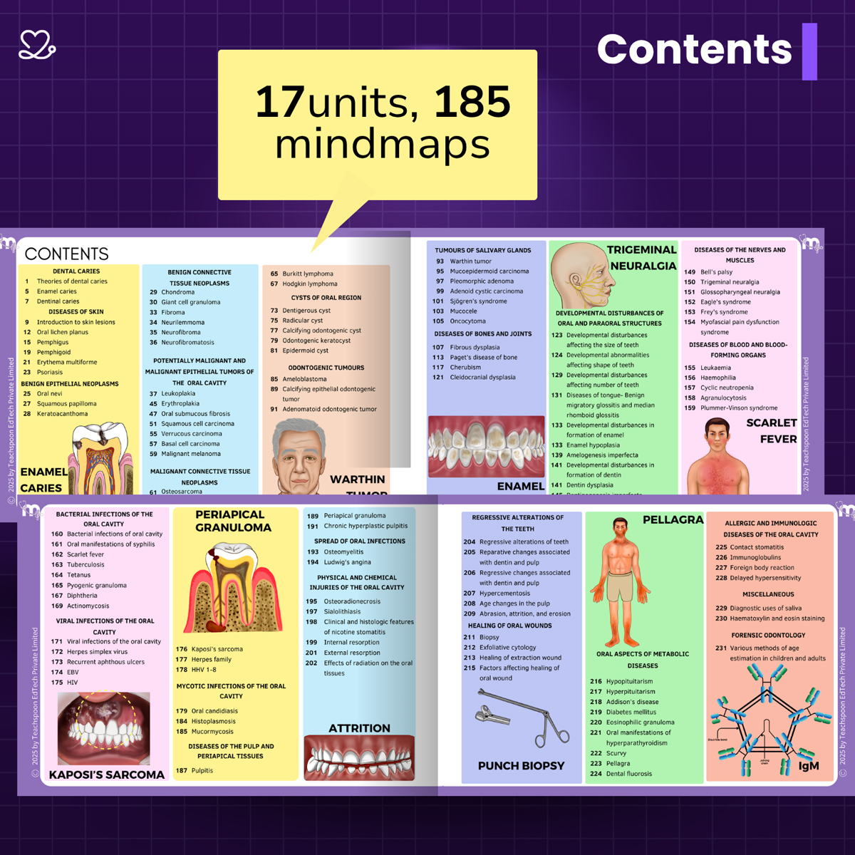 Medi Study Go Third Year BDS Mind Maps Bundle (Pack Of 3)
