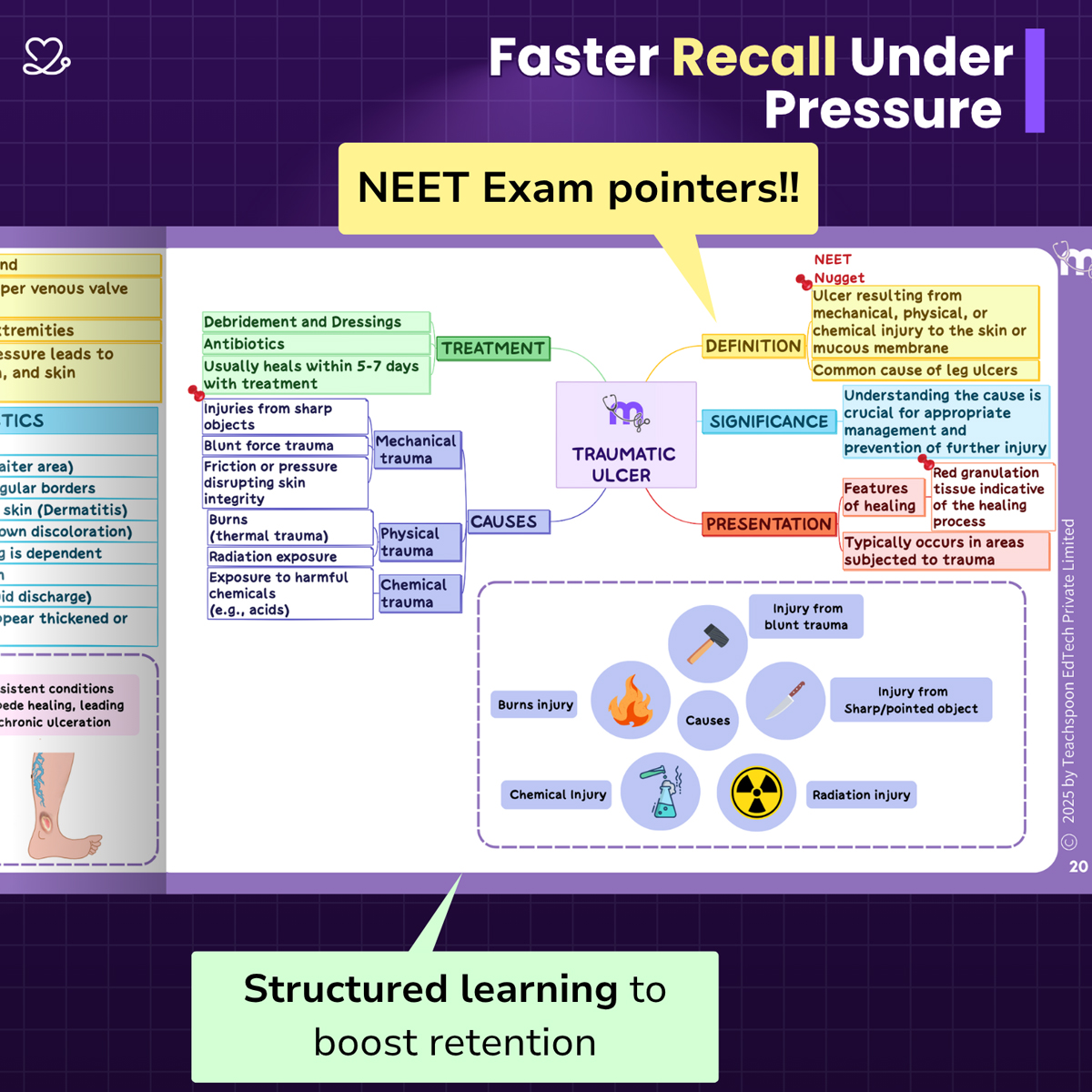 Medi Study Go Third Year BDS Mind Maps Bundle (Pack Of 3)