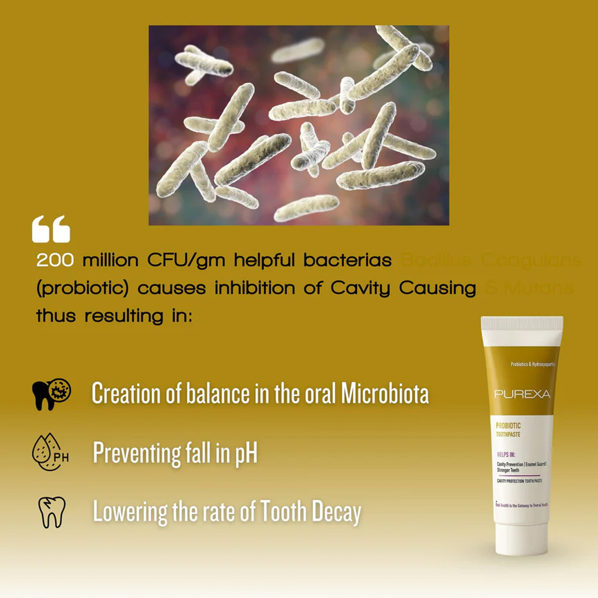 Purexa Probiotic Toothpaste (Pack Of 10)