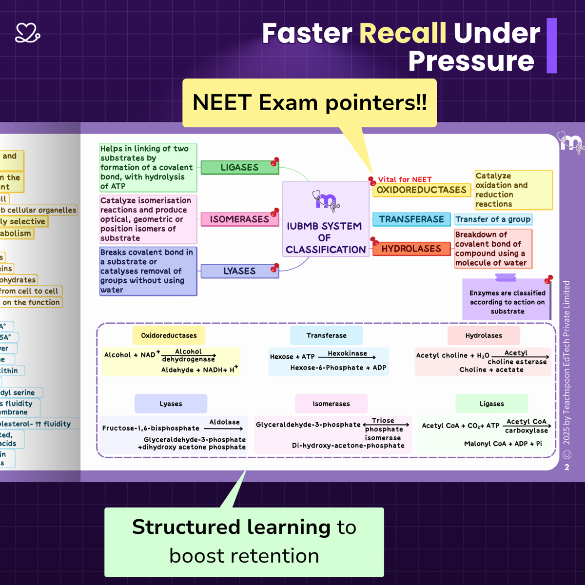 Medi Study Go General Medicine Mind Maps (ISBN: 252606)
