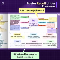 Medi Study Go General Medicine Mind Maps (ISBN: 252606) - 6
