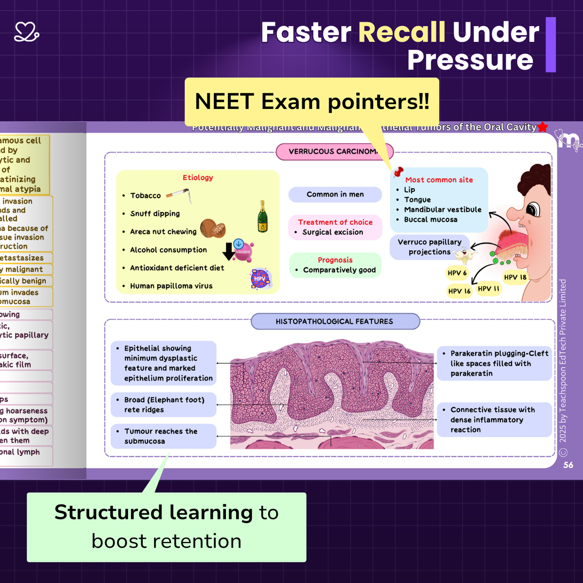 Medi Study Go Oral Pathology And Microbiology Mind Maps (ISBN: 365054)