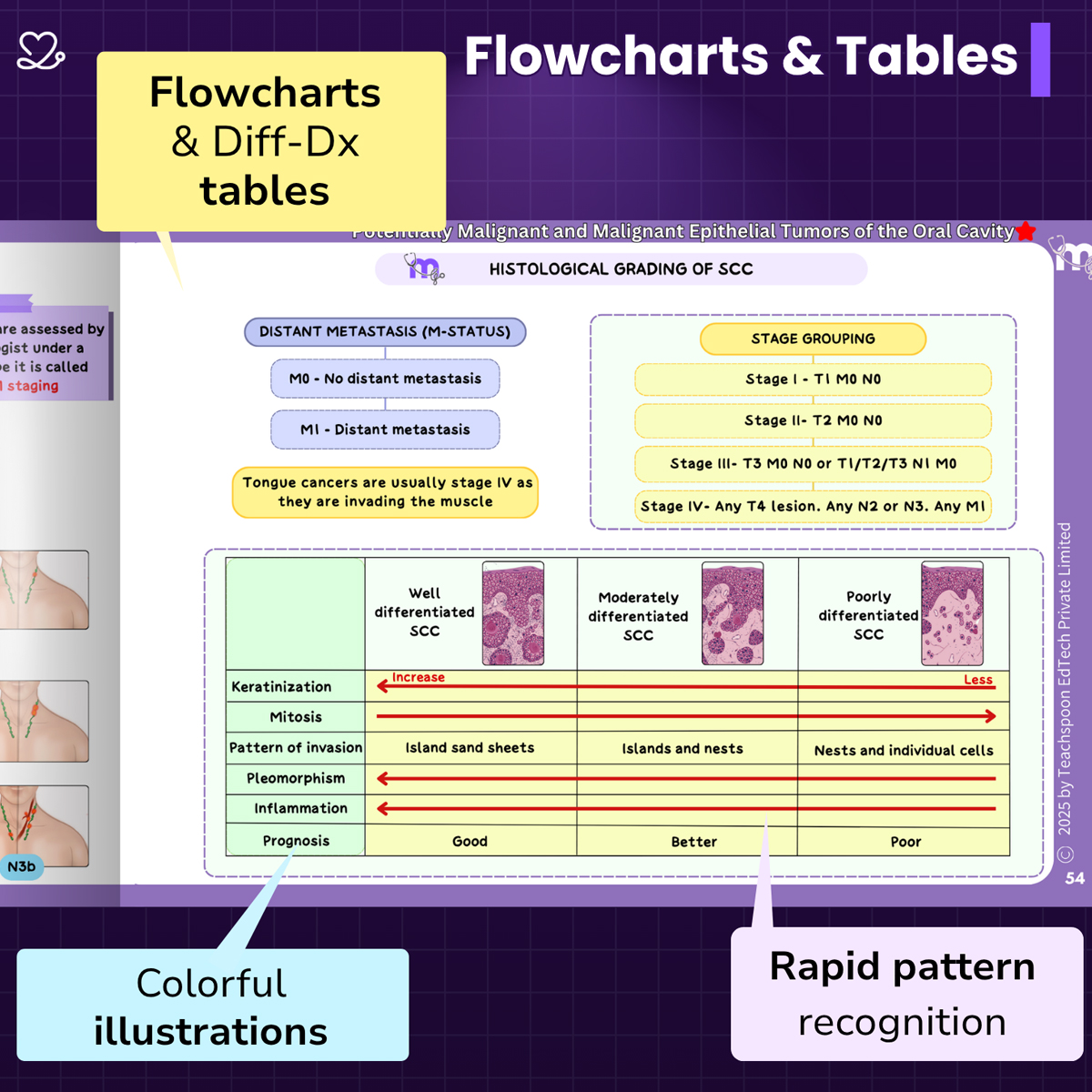 Medi Study Go Oral Pathology And Microbiology Mind Maps (ISBN: 365054)
