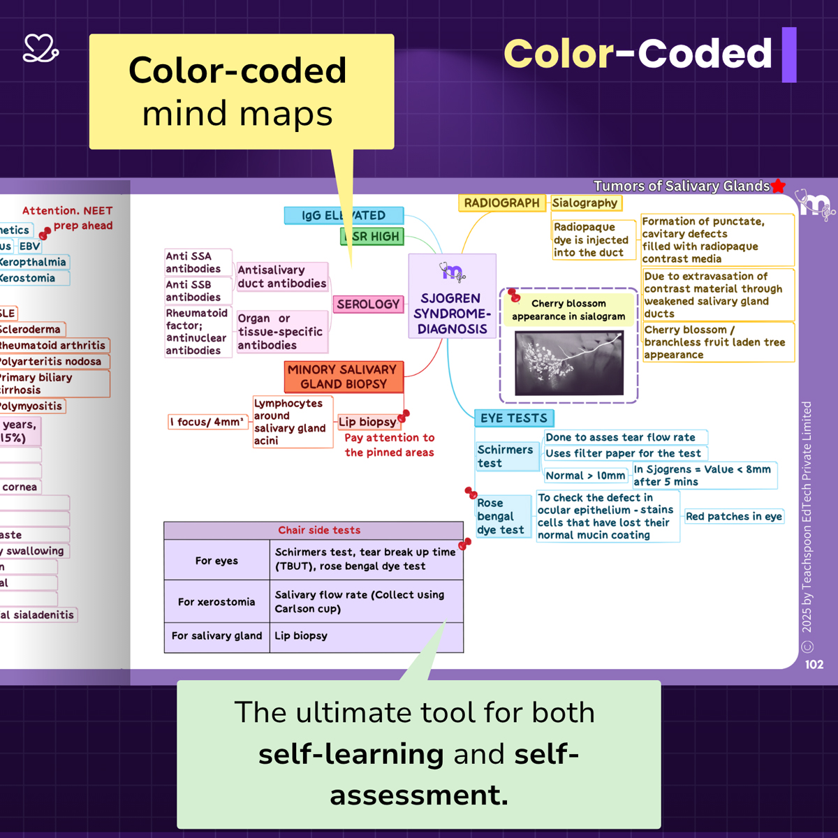 Medi Study Go Oral Pathology And Microbiology Mind Maps (ISBN: 365054)