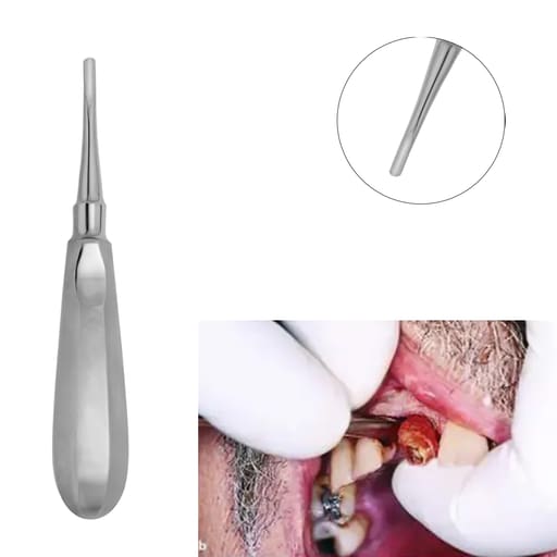 Waldent Root Elevator With Mesial Serrated Tip - 77R (2/132)