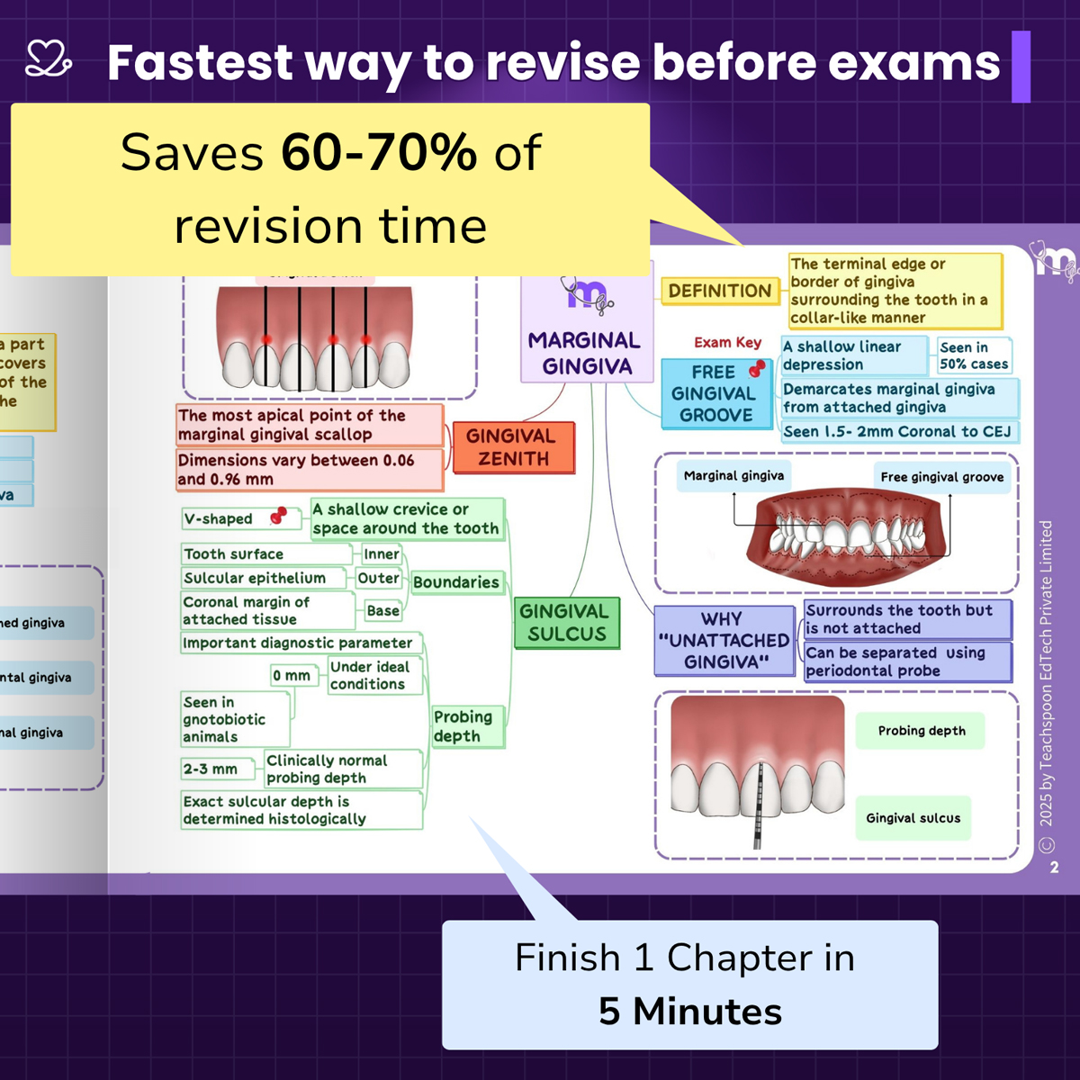Medi Study Go Periodontics Mind Maps And Notes (ISBN: 260472)