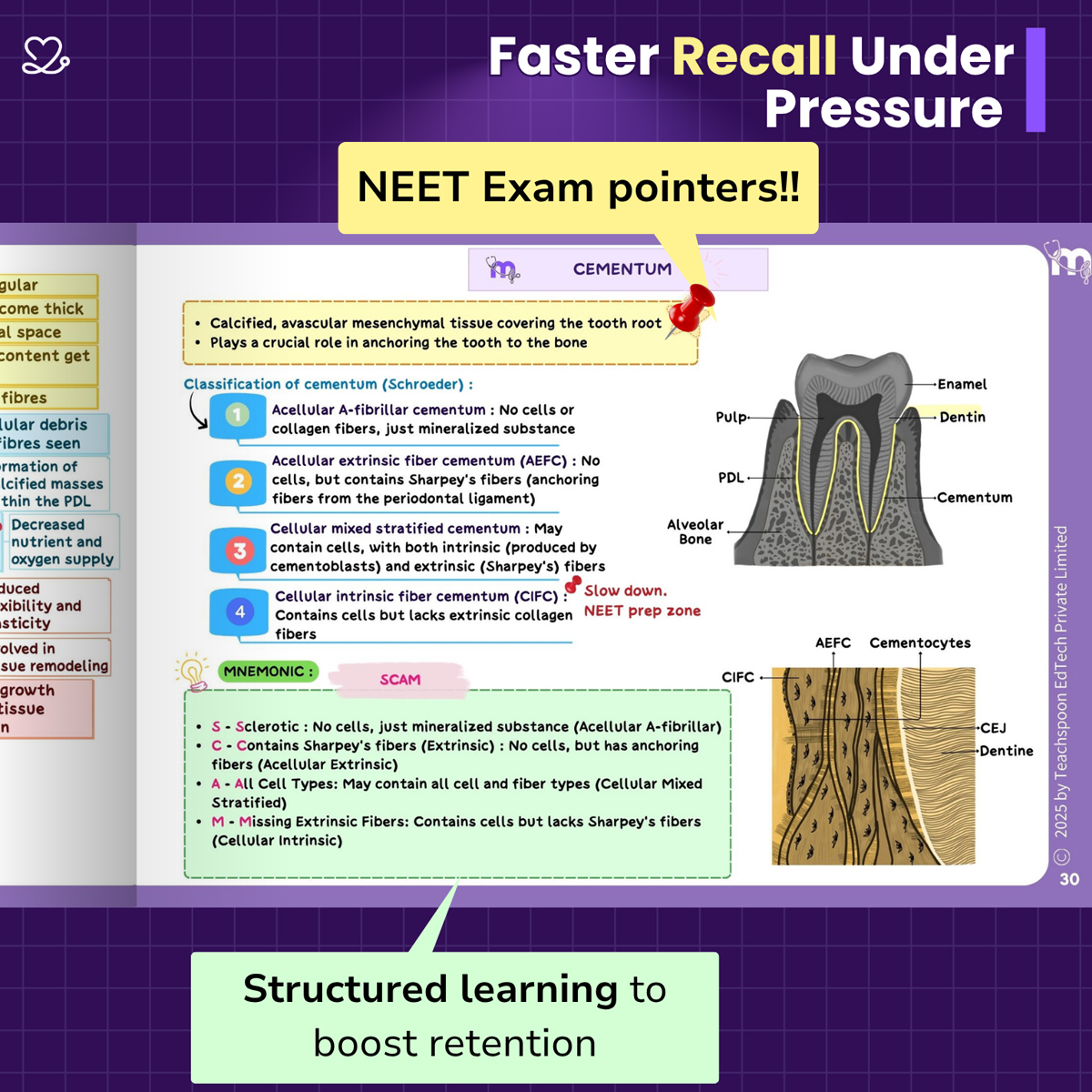 Medi Study Go Periodontics Mind Maps And Notes (ISBN: 260472)