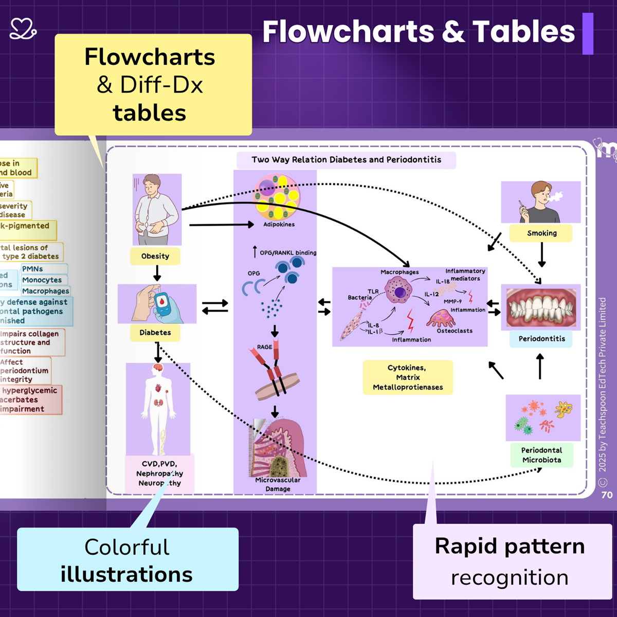 Medi Study Go Periodontics Mind Maps And Notes (ISBN: 260472)