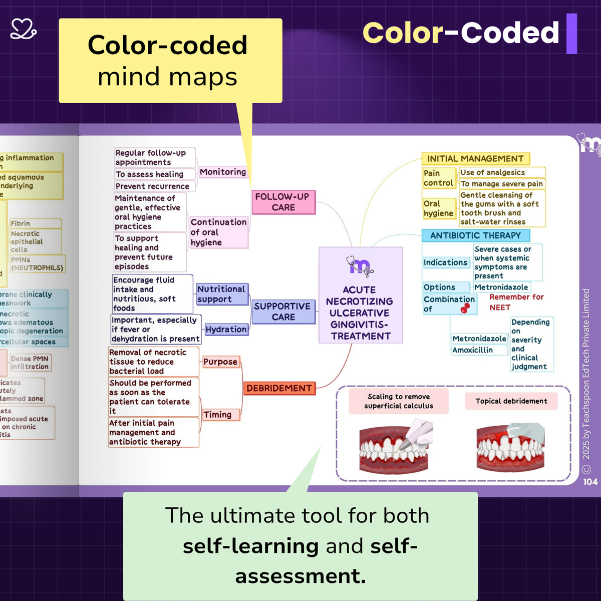 Medi Study Go Periodontics Mind Maps And Notes (ISBN: 260472)