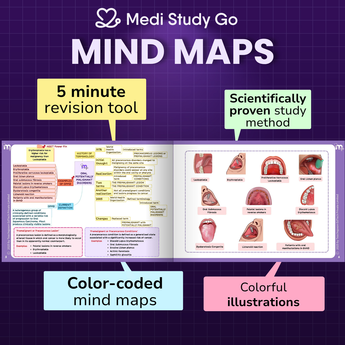 Medi Study Go Oral Medicine Mind Maps (ISBN: 262889)
