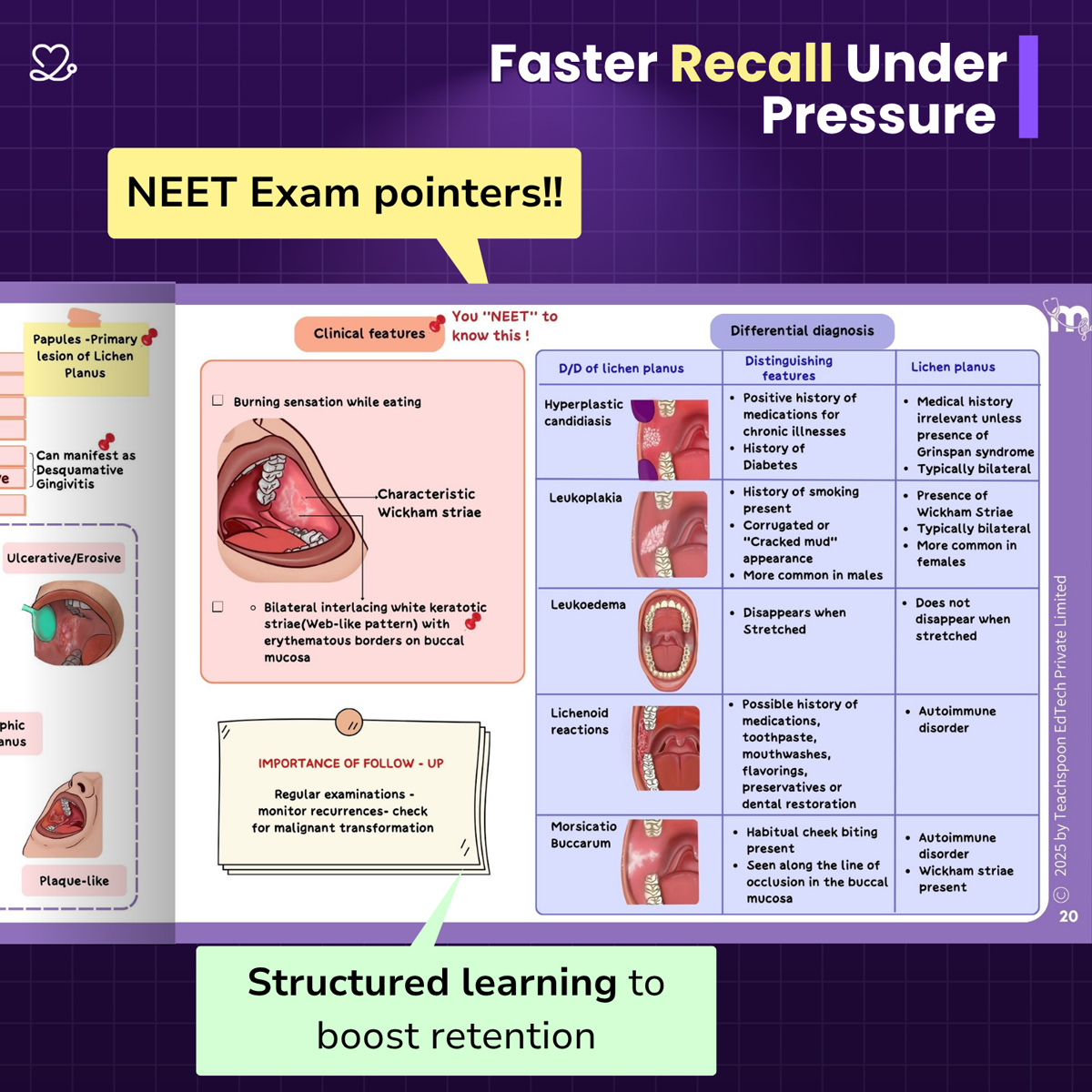 Medi Study Go Oral Medicine Mind Maps (ISBN: 262889)