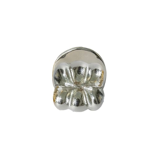 iDENTical Tooth Shape Silver Mini Brooch ZYR-4013