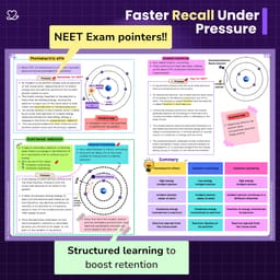 Medi Study Go Oral Radiology Notes (ISBN: 264067) - 5