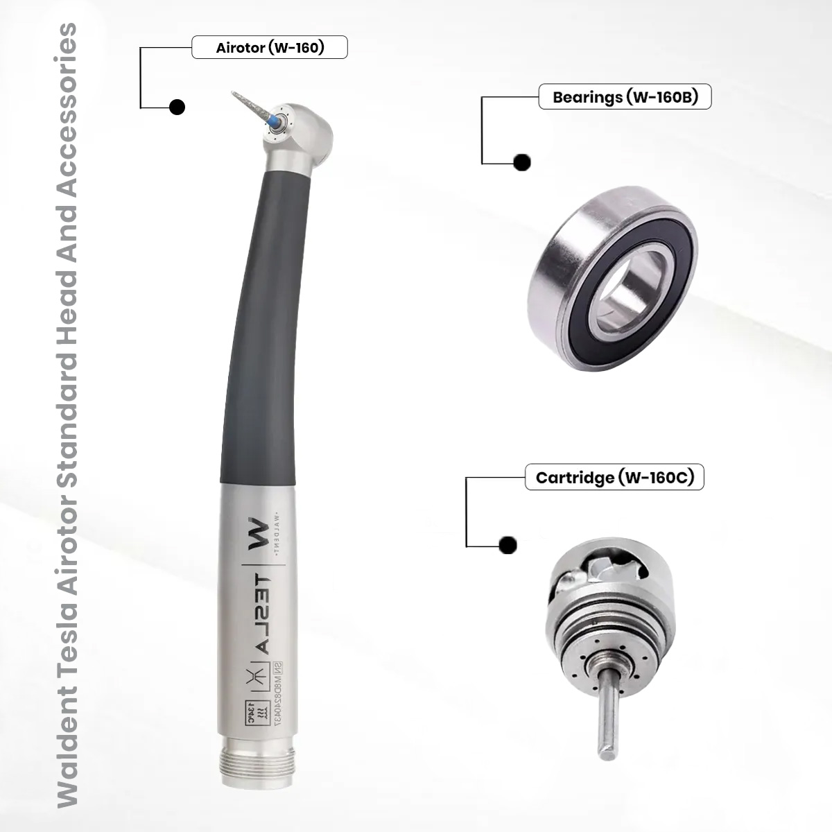 Waldent Tesla Airotor Standard Head And Accessories