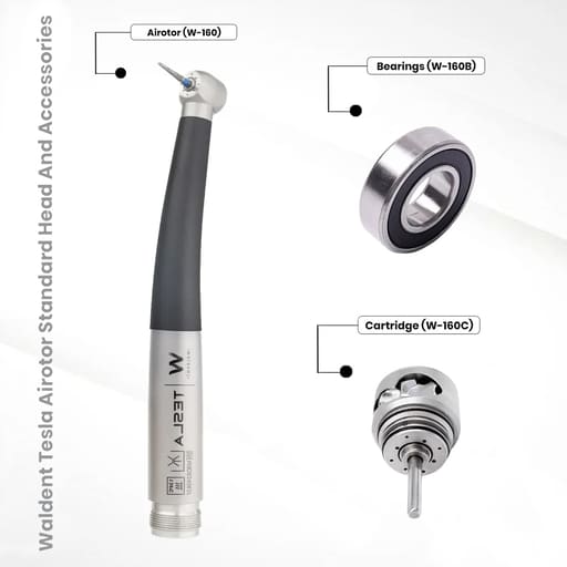 Waldent Tesla Airotor Standard Head And Accessories