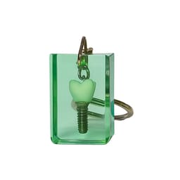 iDENTical Square Resin Block Keychain With Implant Model - Dark Green (3023)