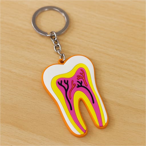 iDENTical Tooth Anatomy Keychain - Multicolor (3027)